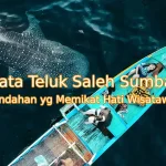 Keindahan-Teluk-Saleh-Sumbawa