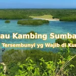 Keindahan-Pulau-Kambing-Sumbawa