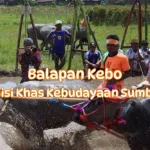Balapan-Kebo-KhasKebudayaan-Sumbawa